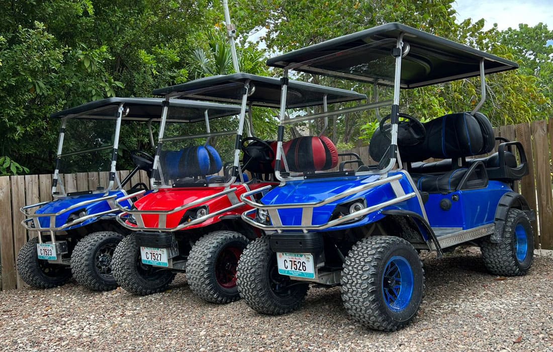 4-Seater Golf Cart Rental San Pedro Belize
